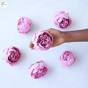 Big Peony Heads (Set of 6 )