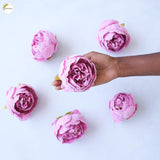 Big Peony Heads (Set of 6 )