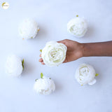 Big Peony Heads (Set of 6 )