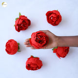 Big Peony Heads (Set of 6 )