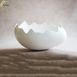 Egg Shell - OVAL