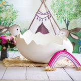 Egg Shell - OVAL