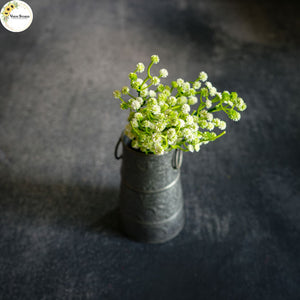 Baby Breath