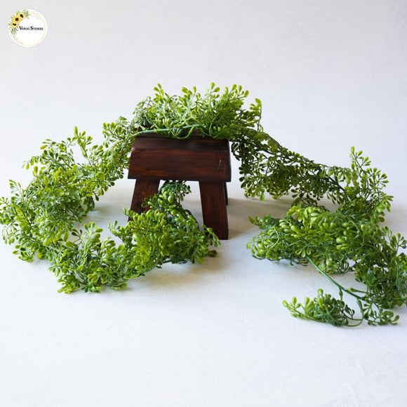 Green Creeper - Type 2