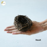 Nest