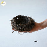 Nest