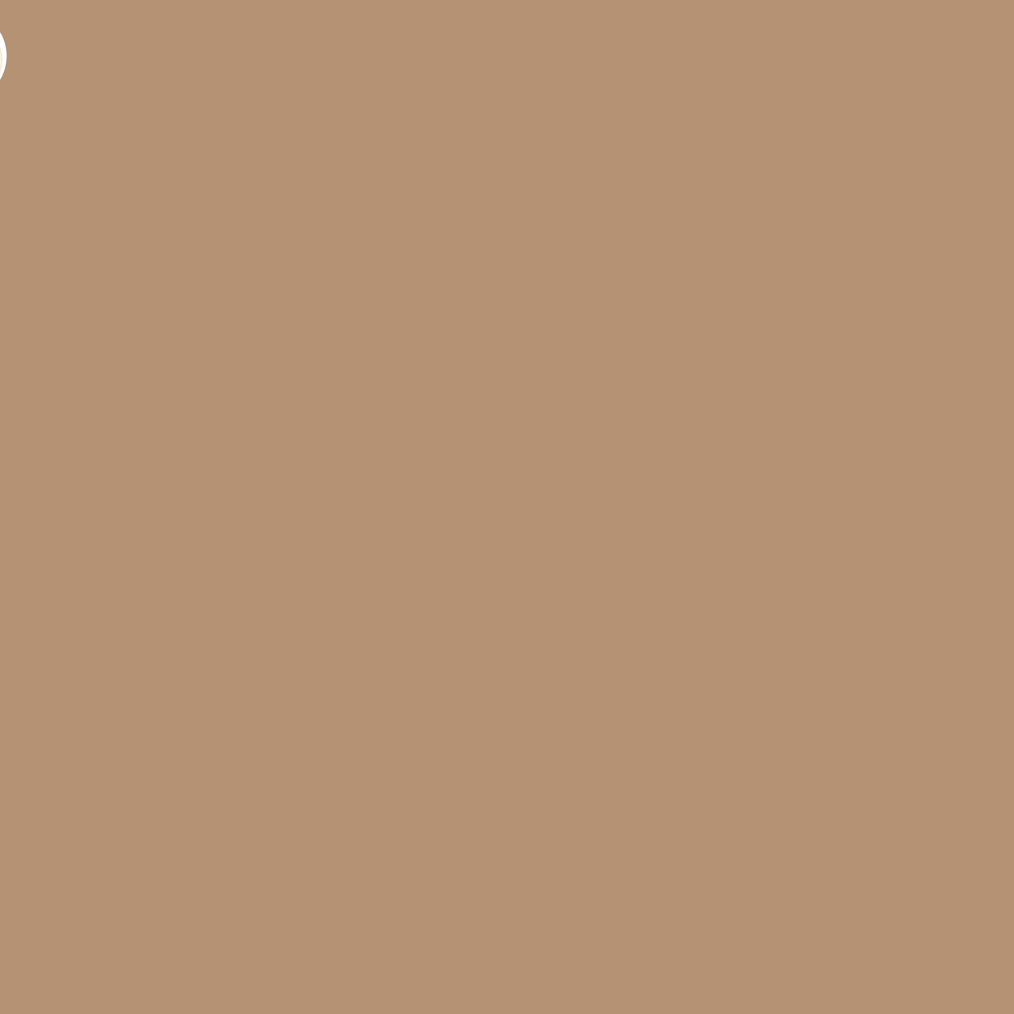 Pastel Brown - Baby Printed Backdrops - PREMIUM FABRIC