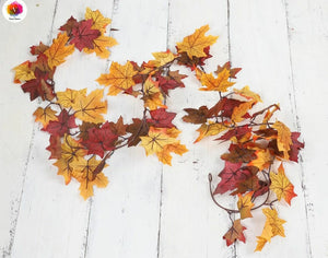 Autumn Leaves Creeper