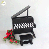 Elegant Piano with Stool Set