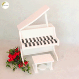Elegant Piano with Stool Set